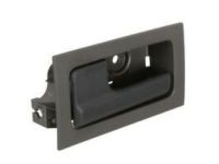 Ford DT1Z-6122666-A Handle, Passenger Side
