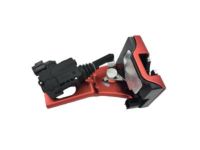 Ford 9L8Z-7843150-A Latch Assembly - Tailgate