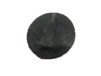 Ford DT1Z-4273-B Cap - Screw, Passenger Side