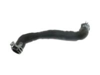 Ford 8S4Z-8286-A Lower Hose Ford 8S4Z-8286-A Lower Hose