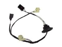 Ford 2L1Z-13412-AA Socket & Wire, Rear