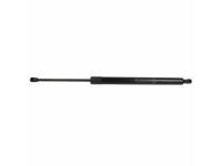 Ford DT1Z-61406A10-B Lift Cylinder, Rear