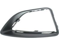 Ford AE5Z-17E810-EA Bezel, Front Passenger Side