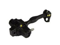 Ford 6E5Z-5423552-AA Door Check, Front Passenger Side