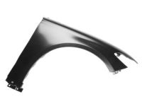 Ford DS7Z-16005-A Fender, Front Passenger Side
