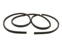 Ford BL3Z-1820708-B Weatherstrip On Body, Front Inner Passenger Side