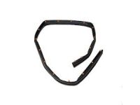 Ford FT4Z-5820759-B Lower Weatherstrip, Front Driver Side