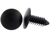 Ford -W705589-S300 Pin - Special, Passenger Side