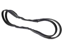 Ford BT4Z-8620-F Serpentine Belt