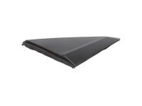 Ford DT1Z-17K709-AA Upper Molding, Front Passenger Side