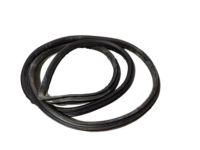 Ford BE8Z-5420709-A Weatherstrip Assembly - Door Opening, Driver Side