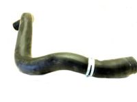 Ford DB5Z-8C289-C Reservoir Hose, Lower