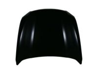 Ford DG1Z-16612-A Hood, Front