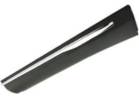 Ford FA1Z-5820878-BA Moulding - Door Outside, Passenger Side