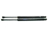 Ford 6L2Z-78406A10-AA Lift Cylinder, Rear Passenger Side