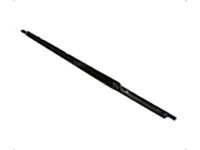 Ford AG1Z-5421452-AA Weatherstrip Assembly - Door Window, Passenger Side