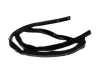 Ford 8L2Z-78253A45-A Lower Weatherstrip, Driver Side