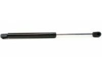 Ford 1L2Z-16C826-AA Lift Cylinder