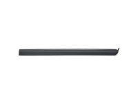 Ford 6L5Z-1021453-AA Belt Weatherstrip, Driver Side