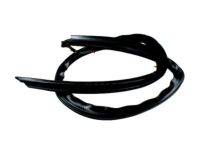 Ford 9C3Z-2651222-A Weatherstrip, Passenger Side