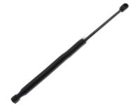 Ford FL3Z-16C826-A Lift Cylinder, Passenger Side