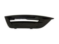 Ford DG1Z-17E810-DA Lamp Bezel, Passenger Side