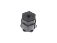 Ford DS7Z-19D702-B Valve Cap, Rear
