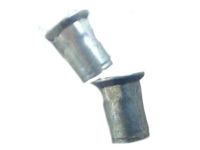 Ford -W710791-S437 Quarter Glass Nut