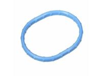 Ford 1L2Z-9461-CA Intake Manifold Gasket, Lower