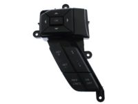 Ford FL3Z-9C888-BA Switch Assembly, Driver Side