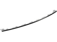 Ford JB5Z-17C830-AA Molding, Center