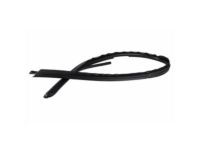 Ford 4C3Z-2651222-AA Weatherstrip, Passenger Side