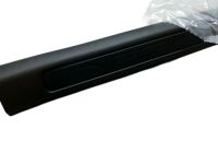 Ford FT4Z-5813208-AA Front Sill Plate, Passenger Side