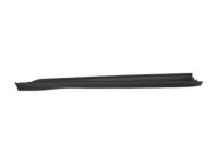 Ford CM5Z-5810176-AA Rocker Molding, Passenger Side
