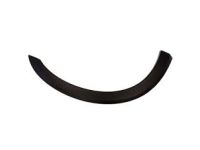 Ford 3C3Z-16038-BAPTM Wheel Opening Molding, Passenger Side