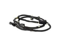 Ford DG9Z-15K868-B Wire Harness, Rear