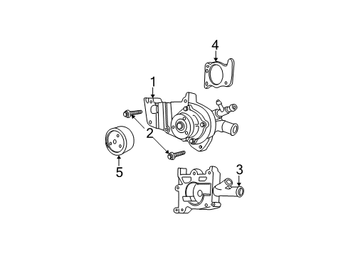 2003 Ford Focus Water Pump Diagram