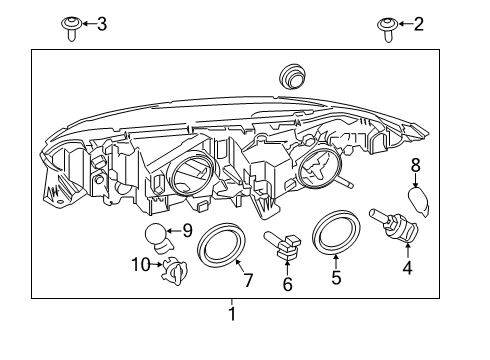 2021 Ford Transit Connect Bulbs Diagram