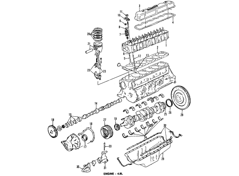 1984 Ford E-350 Econoline Club Wagon Engine Parts, Mounts, Cylinder Head & Valves, Camshaft & Timing, Oil Pan, Oil Pump, Crankshaft & Bearings, Pistons, Rings & Bearings Diagram