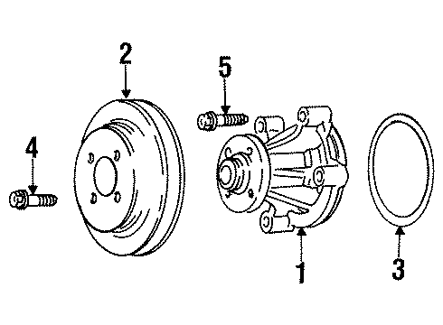 1998 Ford Crown Victoria Water Pump Diagram