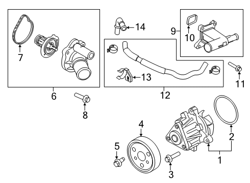 2021 Ford Transit Connect Water Pump Diagram