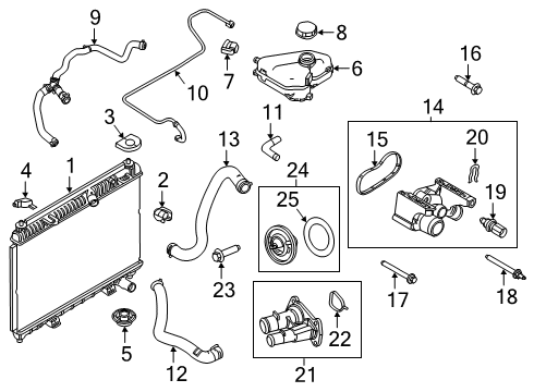 2019 Ford Fiesta Radiator & Components Diagram