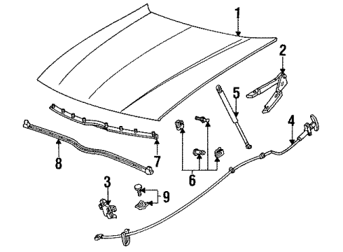 1992 Ford Taurus Hood & Components Diagram
