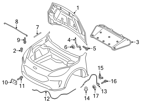 2023 Ford Escape Hinge, Front Driver Side Diagram for LJ6Z-16797-A