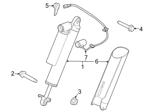2019 Ford F-150 Shocks & Components - Rear Diagram