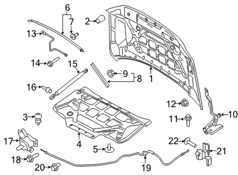 2022 Ford F-150 Hood & Components Diagram