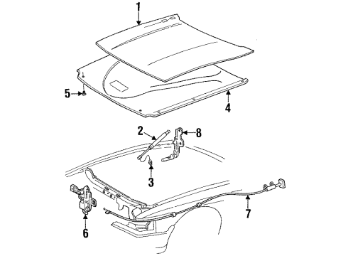 1997 Ford Crown Victoria Hood & Components Diagram