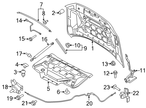 2019 Ford F-150 Hood & Components Diagram