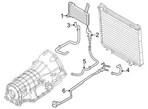 2021 Ford E-350 Super Duty Trans Oil Cooler Diagram