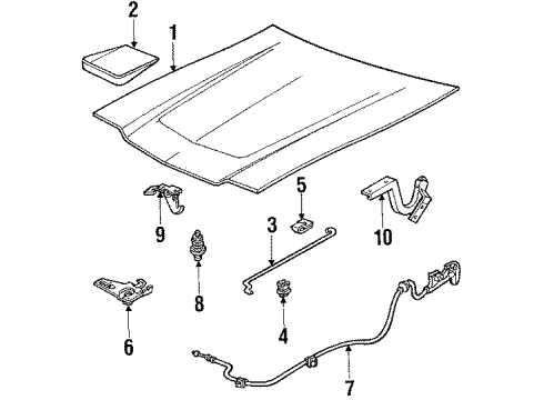 1986 Ford Escort Hood & Components Diagram